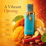 Vulcan Feu Men's Perfume 3.4 fl oz Long-Lasting EDP