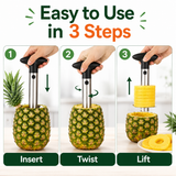 Pineapple Cutter Stainless Steel Fruit Corer Slicer Kitchen Tool