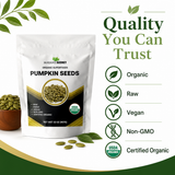 Mayan's Secret Organic Pumpkin Seeds 2lb Parve & Non-GMO
