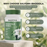 Salvora Rhodiola Rosea Adaptogen Supplement 60 Capsules